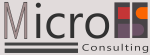 MicroFS Consulting